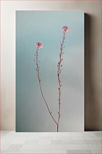Πίνακας, Minimalist Flower Stems Against Sky Μινιμαλιστικά στελέχη λουλουδιών ενάντια στον ουρανό