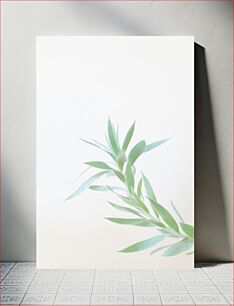 Πίνακας, Minimalist Plant on White Background Μινιμαλιστικό φυτό σε λευκό φόντο