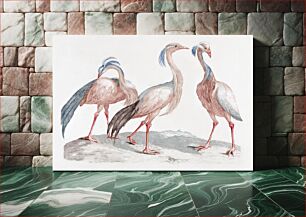 Πίνακας, Miss Crane Birds by Johan Teyler (1648-1709)