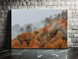 Πίνακας, Misty Autumn Forest Ομιχλώδες φθινοπωρινό δάσος