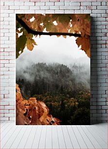 Πίνακας, Misty Forest Canopy Misty Forest Canopy