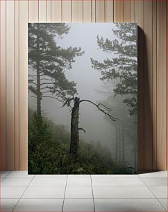 Πίνακας, Misty Forest Landscape Misty Forest Landscape