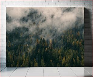 Πίνακας, Misty Forest Misty Forest