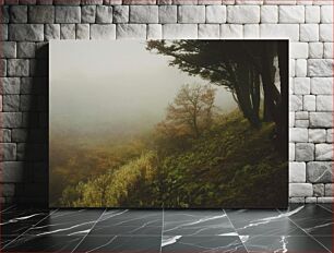 Πίνακας, Misty Forest on a Hillside Misty Forest σε μια πλαγιά