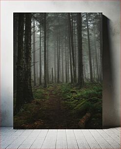 Πίνακας, Misty Forest Path Misty Forest Path