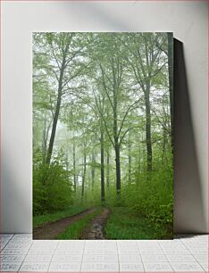 Πίνακας, Misty Forest Path Misty Forest Path