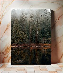 Πίνακας, Misty Forest Reflections Misty Forest Reflections