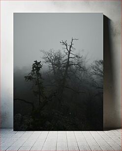 Πίνακας, Misty Forest with Bare Trees Misty Forest με γυμνά δέντρα