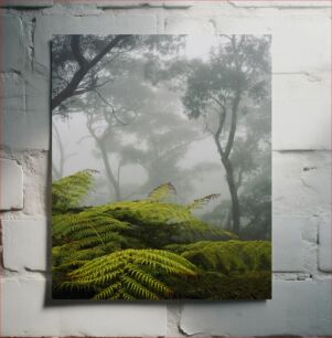 Πίνακας, Misty Forest with Ferns Misty Forest with Ferns