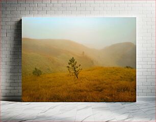 Πίνακας, Misty Hillside with Grass and Tree Misty Hillside with Grass and Tree