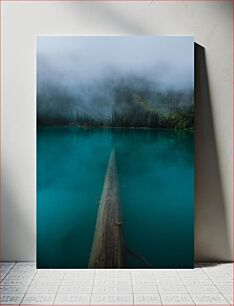 Πίνακας, Misty Lake with Fallen Tree Misty Lake με πεσμένο δέντρο