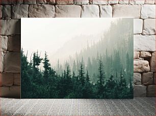 Πίνακας, Misty Mountain Forest Misty Mountain Forest