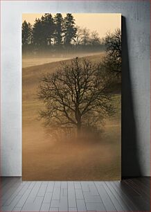 Πίνακας, Misty Tree Landscape at Sunset Τοπίο ομιχλώδους δέντρου στο ηλιοβασίλεμα