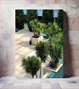 Πίνακας, Modern Courtyard with Green Plants Σύγχρονη αυλή με πράσινα φυτά