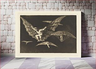 Πίνακας, Modo de Volar (A Way of Flying), plate 13 in Disparates (Proverbs), by Francisco de Goya