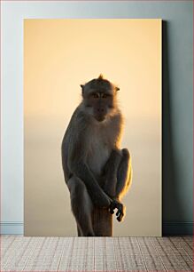 Πίνακας, Monkey at Sunset Μαϊμού στο ηλιοβασίλεμα