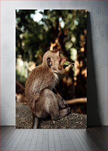Πίνακας, Monkey Eating a Leaf Μαϊμού που τρώει ένα φύλλο