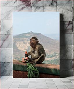 Πίνακας, Monkey Eating Carrots Μαϊμού που τρώει καρότα