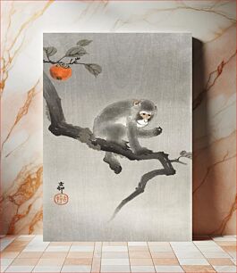 Πίνακας, Monkey in cockatoo (1900 - 1930) by Ohara Koson (1877-1945)
