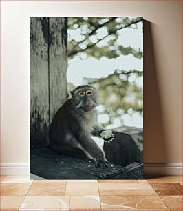 Πίνακας, Monkey in Nature Μαϊμού στη φύση