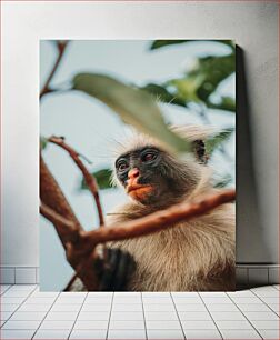 Πίνακας, Monkey in Nature Πίθηκος στη φύση