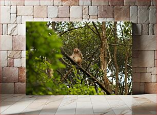 Πίνακας, Monkey in the Forest Μαϊμού στο δάσος