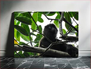 Πίνακας, Monkey in the Trees Μαϊμού στα δέντρα