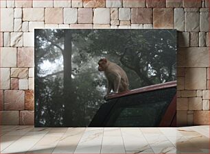Πίνακας, Monkey on a Car in Forest Πίθηκος σε ένα αυτοκίνητο στο δάσος