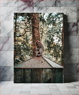 Πίνακας, Monkey on Cage in Forest Πίθηκος στο κλουβί στο δάσος