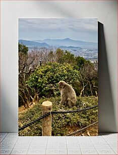 Πίνακας, Monkey Overlooking Cityscape Πίθηκος με θέα το αστικό τοπίο