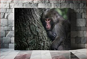 Πίνακας, Monkey Resting Against Tree Μαϊμού που αναπαύεται ενάντια στο δέντρο