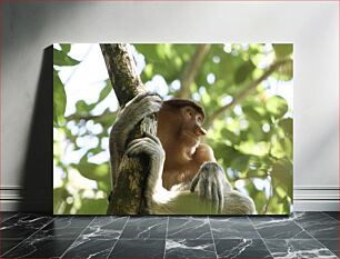 Πίνακας, Monkey Resting on a Tree Μαϊμού που στηρίζεται σε ένα δέντρο