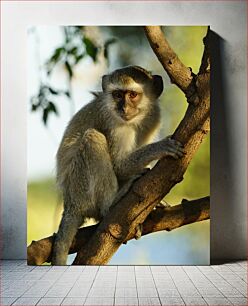 Πίνακας, Monkey Sitting on a Tree Μαϊμού που κάθεται σε ένα δέντρο