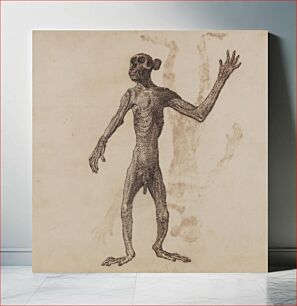 Πίνακας, Monkey Standing, Anterior View by George Stubbs