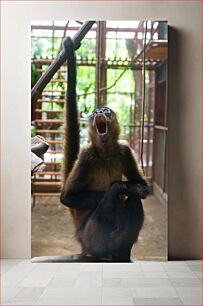 Πίνακας, Monkey Yawning at the Zoo Μαϊμού που χασμουριέται στο ζωολογικό κήπο