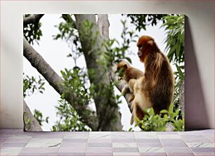 Πίνακας, Monkeys in a Tree Πίθηκοι σε ένα δέντρο