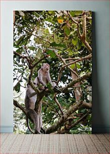 Πίνακας, Monkeys in a Tree Πίθηκοι σε ένα δέντρο