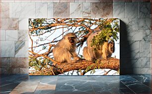 Πίνακας, Monkeys in Trees Πίθηκοι σε δέντρα