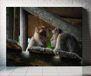 Πίνακας, Monkeys Interacting Μαϊμούδες που αλληλεπιδρούν