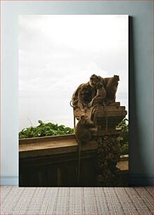 Πίνακας, Monkeys on a Structure Πίθηκοι σε μια δομή