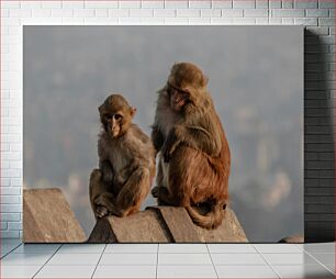 Πίνακας, Monkeys Resting on a Rock Πίθηκοι που στηρίζονται σε έναν βράχο