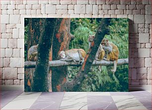 Πίνακας, Monkeys Resting on a Tree Πίθηκοι που στηρίζονται σε ένα δέντρο