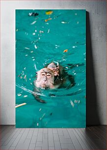 Πίνακας, Monkeys Swimming in Water Μαϊμούδες που κολυμπούν στο νερό