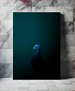 Πίνακας, Moody Blue Pigeon Moody Blue Pigeon