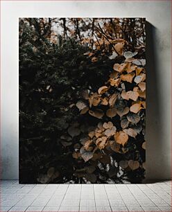 Πίνακας, Moody Forest Foliage Moody Forest Foliage