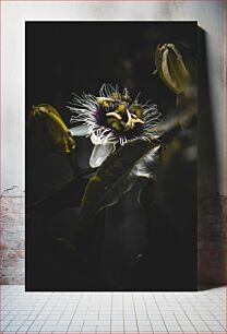 Πίνακας, Moody Passion Flower Moody Passion Flower