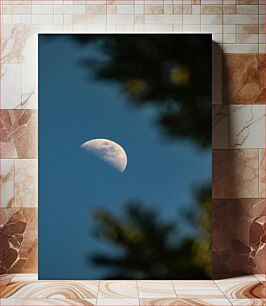 Πίνακας, Moon through the Trees Φεγγάρι μέσα από τα δέντρα