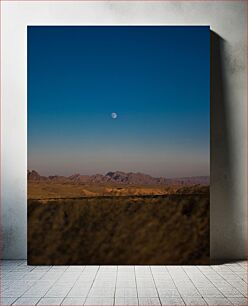 Πίνακας, Moonlit Desert Landscape Φεγγαρόφωτο τοπίο της ερήμου