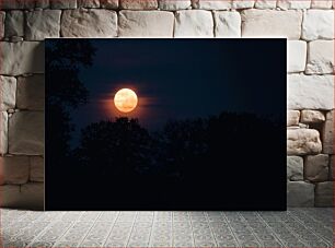 Πίνακας, Moonlit Night in the Forest Φεγγαρόφωτη νύχτα στο δάσος