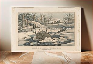 Πίνακας, Moose and wolves a narrow escape between 1850 and 1900 by Currier & Ives